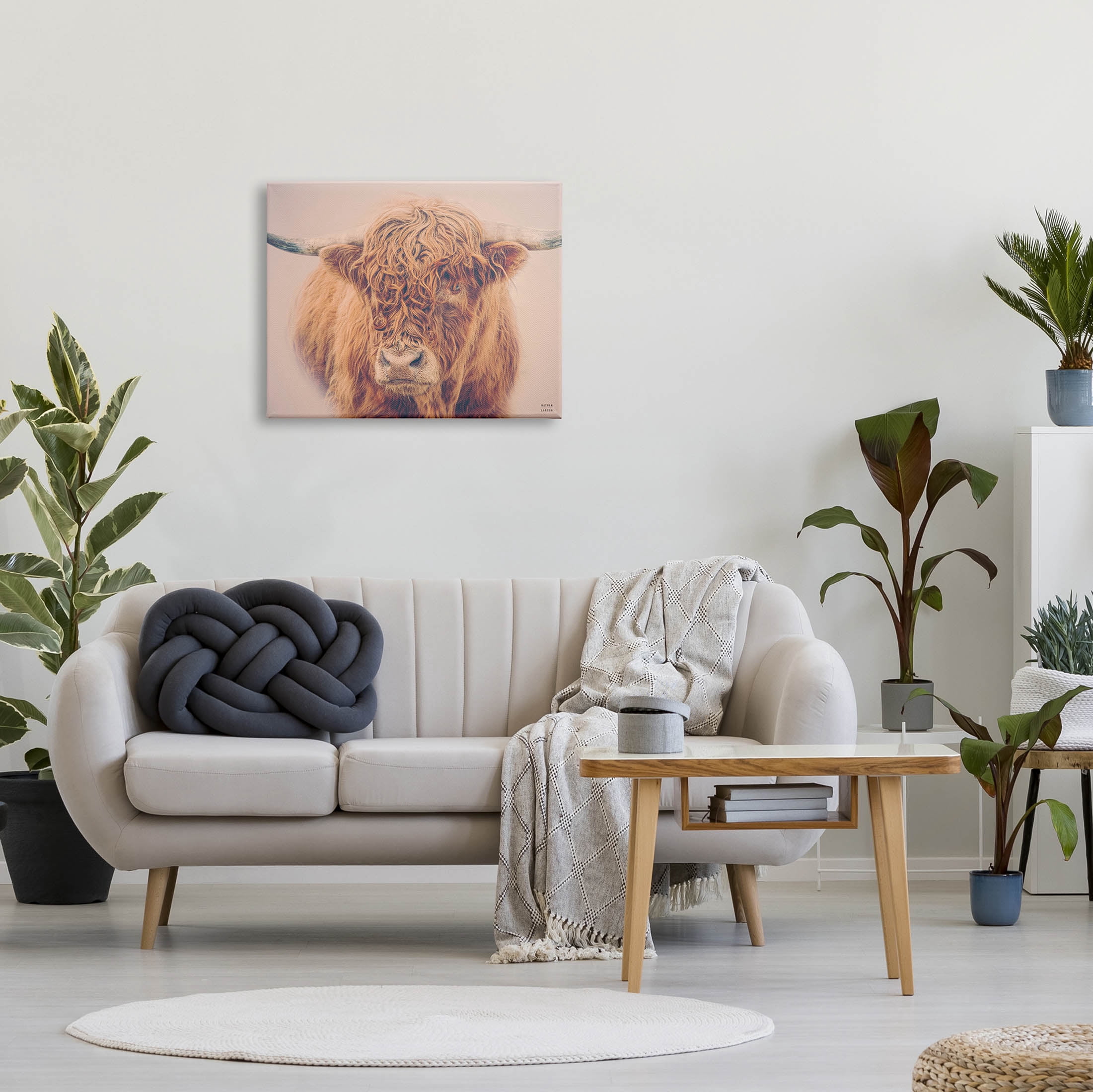 Stupell Industries Highland in Winter Fog Brown Cow Photograph Gallery Wrapped Canvas Print Wall Art, Design by Nathan Larson