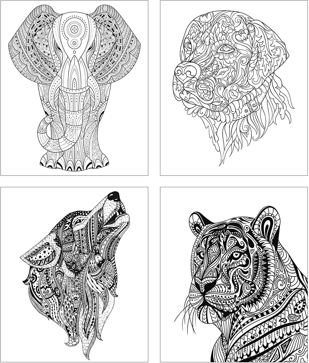 ZoCo: 5-Pack Adult Coloring Book Gift Bundle with Colored Pencils, 120 Pages
