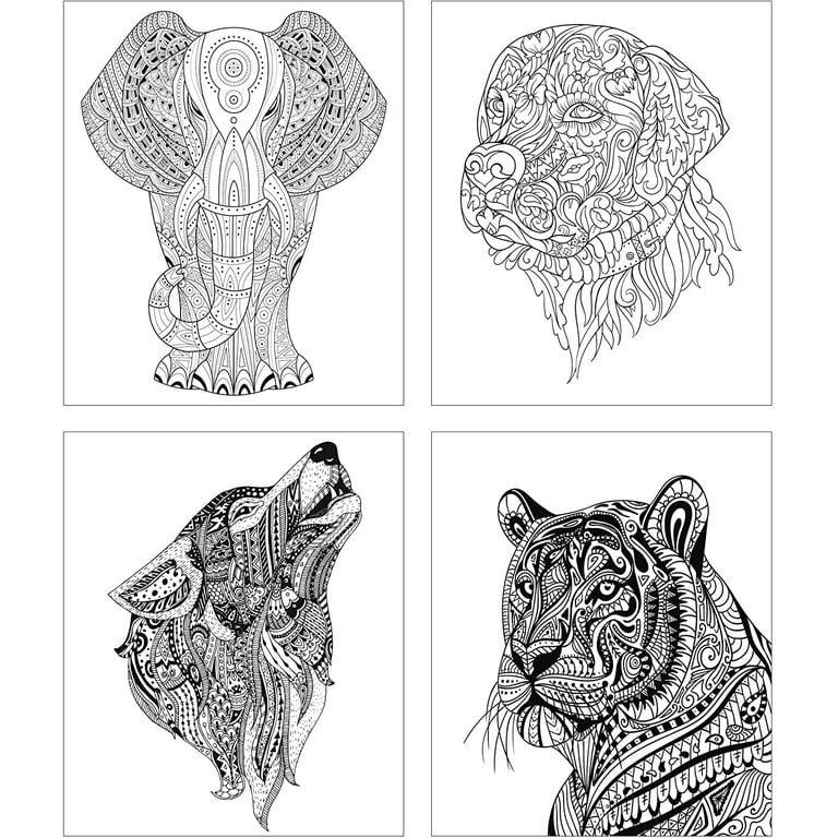 Coloring Books for Adults Relaxation: Nature Designs: Zendoodle