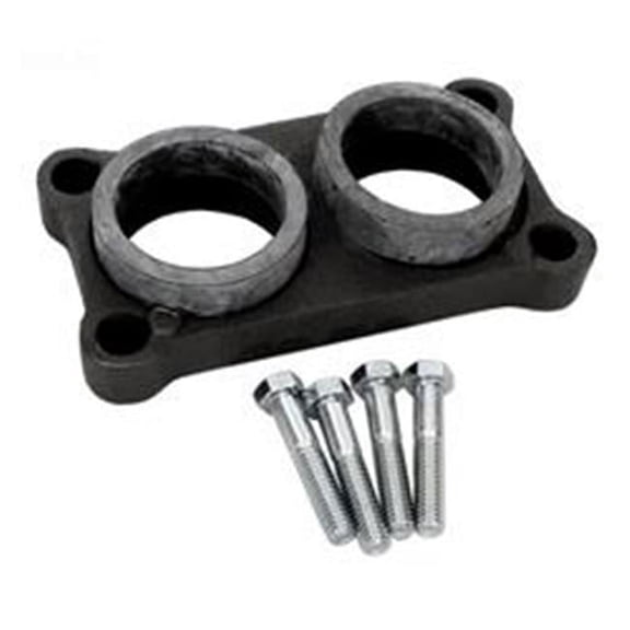 Raypak 002477F Flange in & Out 2 Pool Kit
