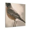 thumbnail image 2 of Robins in Reflection Art - Canvas, 2 of 10