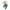 Beige, variant on jaweiwi Toddler Baby Boys Fall Outfits 0 6M 12M 18M 24M 2T 3T Letter Eagle Print Crew Neck Long Sleeve Sweatshirts and Long Pants 2Pcs Clothes Set