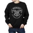 thumbnail image 2 of Harry Potter Boys Hogwarts Crest Sweatshirt, 2 of 8