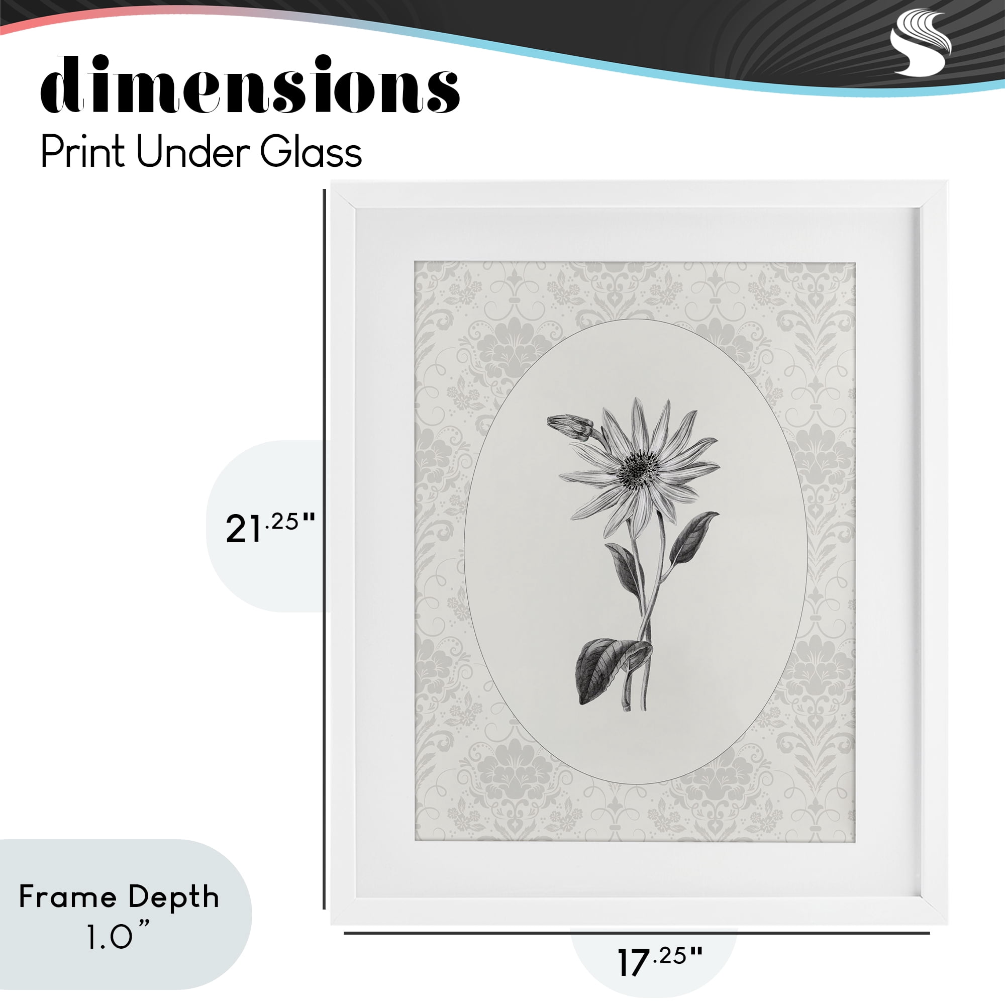 Stupell Industries Antique Botanical & Lace White Framed Print Under Glass, design by CAD Designs