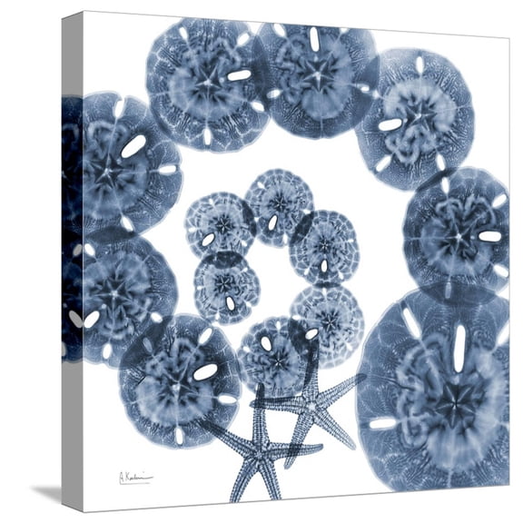 Art.com Sand Dollar Blues Stretched Canvas Print Wall Art by Albert Koetsier, 16" x 16"