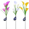 thumbnail image 1 of LCXmlly Waterproof Garden Lamp Auto On/Off Solar Garden Lights Waterproof Color Changing Light for Landscaping, 1 of 7