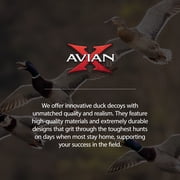 Avian X Powerflight Hen Teal Green Wing Duck Decoy with Wings, Stake & Carry Bag