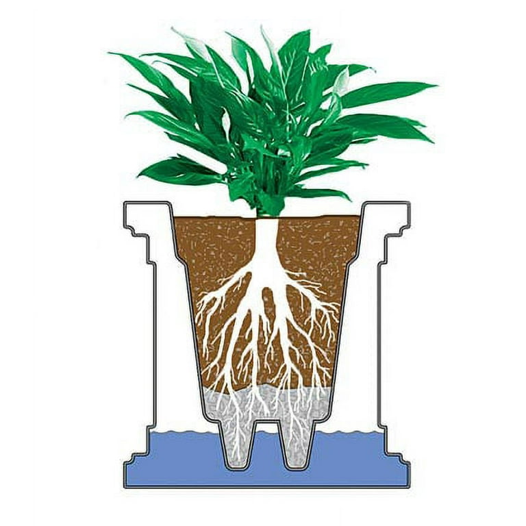 Lexington Self-Watering Planter Box, 14 Lexington Self-Watering Planter Box, 14