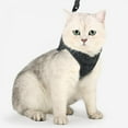 thumbnail image 3 of AMERTEER Big Promotion! Cat Harness Escape Proof Small Cat and Dog Vest Harness with Reflective Strap Soft Mesh Adjustable Cat Walking Jacket for Kitten, 3 of 6