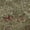 Fern, variant on Addison Rugs Mayfield Premium Machine Washable Transitional Floral Paprika Rectangle Rug, 10' x 14'