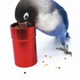 thumbnail image 4 of Pequeño tarro de Metal para loros, alimentador de mano, juguete para cacatúas, periquitos, 4 of 5