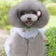 thumbnail image 3 of Vestido para perro pequeño, lindo vestido de princesa con tutú, vestidos para cachorros con estampado de corazón y labios para perros pequeños en verano, 3 of 6