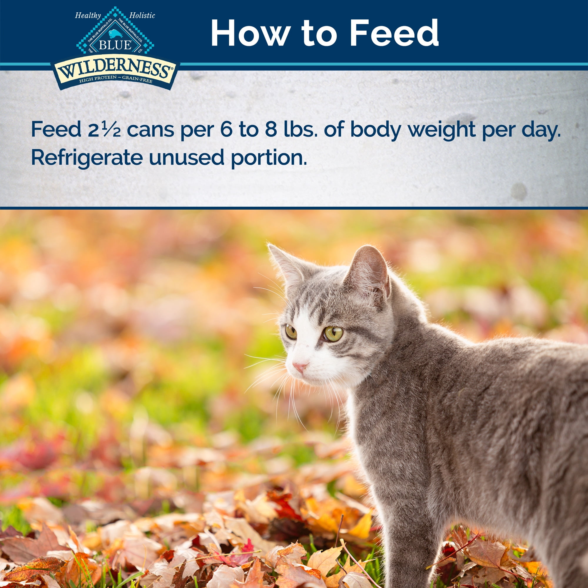 (24 Pack) Blue Buffalo Wilderness Wild Delights Chicken & Turkey Grain Free Wet Cat Food, 3 oz. Cans
