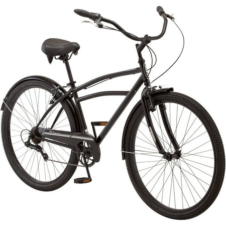 Schwinn 29