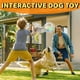 thumbnail image 2 of Tough Durable Ball Toy for Aggressive Chewers Ball in Bottle Strong Rubber Football Dog Chew Fetch Toy for Medium Large Breeds, 2 of 7
