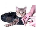 thumbnail image 5 of Pet Backpack for Cats Functional Grooming Restraint Bag Nail Clipping Cleaning Travel Pet Supply, 5 of 8