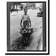 thumbnail image 2 of Historic Framed Print, Coconuts, Key West, Florida, 17-7/8" x 21-7/8", 2 of 9