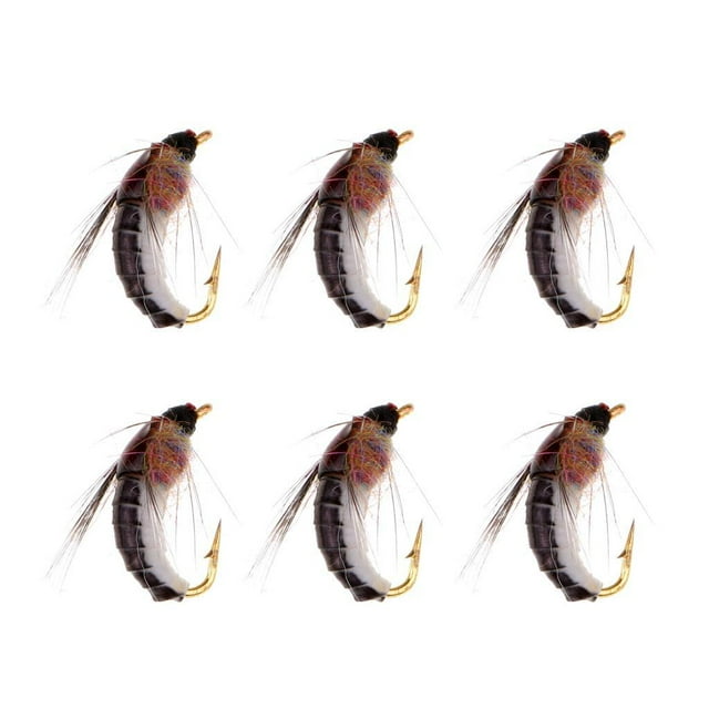 Trucha de Agua Dulce DYNWAVEMX Paquete de 6 Moscas Scud para Pesca con Mosca