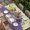 Purple, variant on Happy Easter Rabbits Table Cloths for 6 Foot Rectangle Tables, Spring Daisy Green Silhouette Yellow Patio Waterproof Elastic Fitted Tablecloths, Washable Rectangular Table Cover for Camping