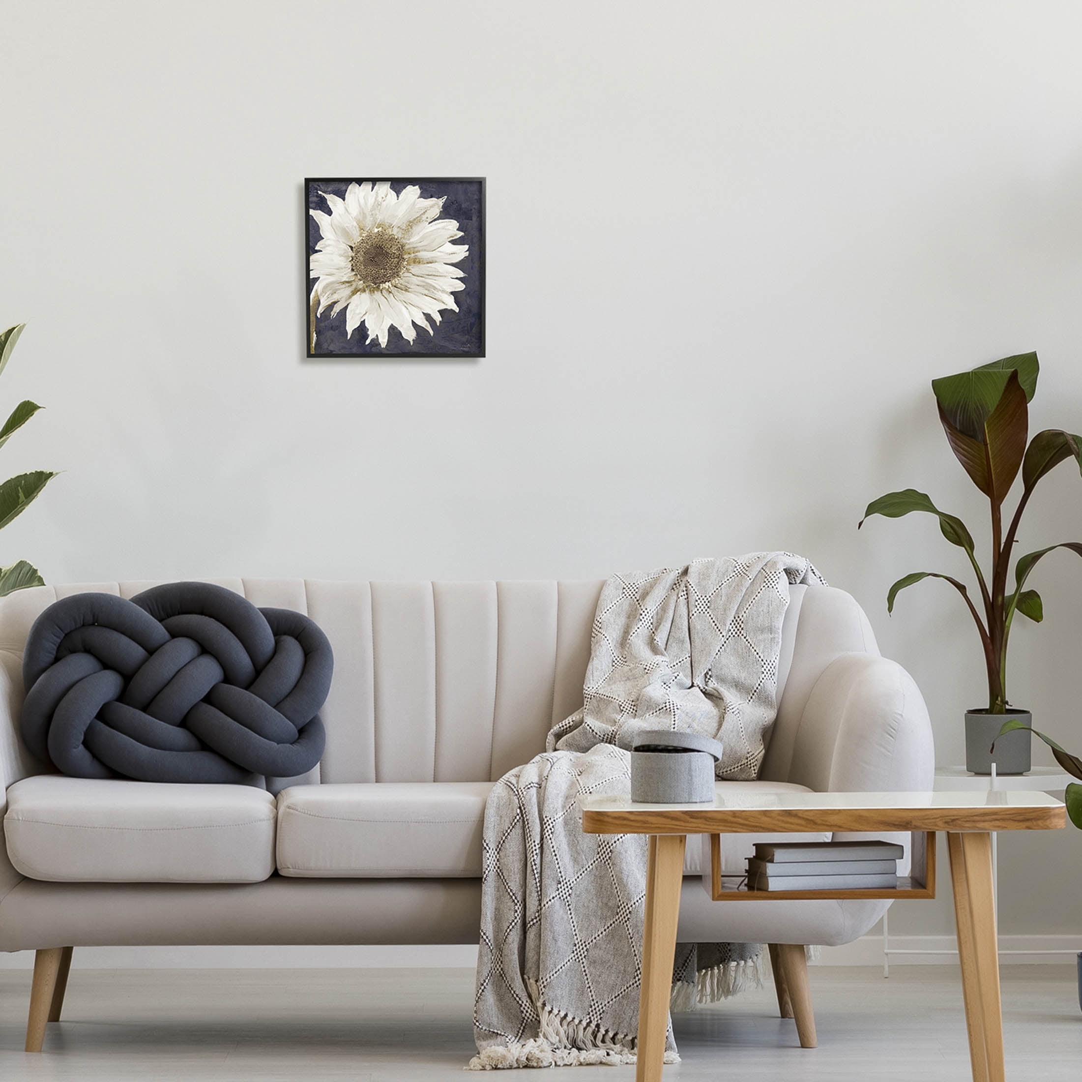 Stupell Industries Modern Distressed Daisy Graphic Art Black Framed Art Print Wall Art, Design by Sophie 6