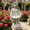 21.06" White, variant on 15.75" Garden Statues,Resin Standing Bear Sculpture,Waterproof,UV-resistant, Suitable for Patio,Yard,Lawn,Black