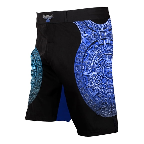 Raven Fightwear Men's Aztec Ranked BJJ MMA Shorts Blue