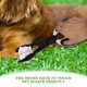 thumbnail image 4 of GOOHOCHY Recogedor de arena con mango, pinza para excrementos de cachorros, herramienta para excrementos de perro, recogedor de excrementos de perro pequeño, recogedor de excrementos de perro para, 4 of 8