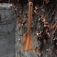 thumbnail image 4 of 4 Piece Kitchenware Shovel Wooden Spoon Rice Shovel Wooden Spatula, 4 of 5