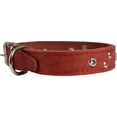 thumbnail image 5 of Genuine Leather Studded Dog Collar, Red, 1' Wide. Fits 13'-17.5' Neck Size, 5 of 5