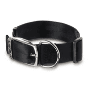 Vibrant Life Solid Nylon Dog Collar with Metal Clasp, Black, x-Large