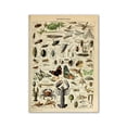 thumbnail image 1 of Retro Poster Mushroom Biological Figure Decorative Painting Core Teaching Study Living Room Canvas Painting, 1 of 5