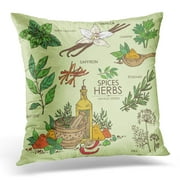 USART Vintage Collection of Herbs and Spice Vanilla Mint Bay Leaf Cilantro Dill Saffron Rosemary Beauty Pillow Case Pillow Cover 20x20 inch