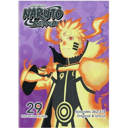 Naruto Shippuden: Box Set 29 (DVD)