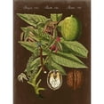 thumbnail image 3 of Vision Studio 19x24 Black Modern Framed Museum Art Print Titled - Walnut on Suede, 3 of 5