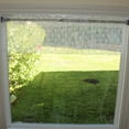 thumbnail image 3 of Floral Lace Window Valance 58 Inch Wide White, 3 of 3