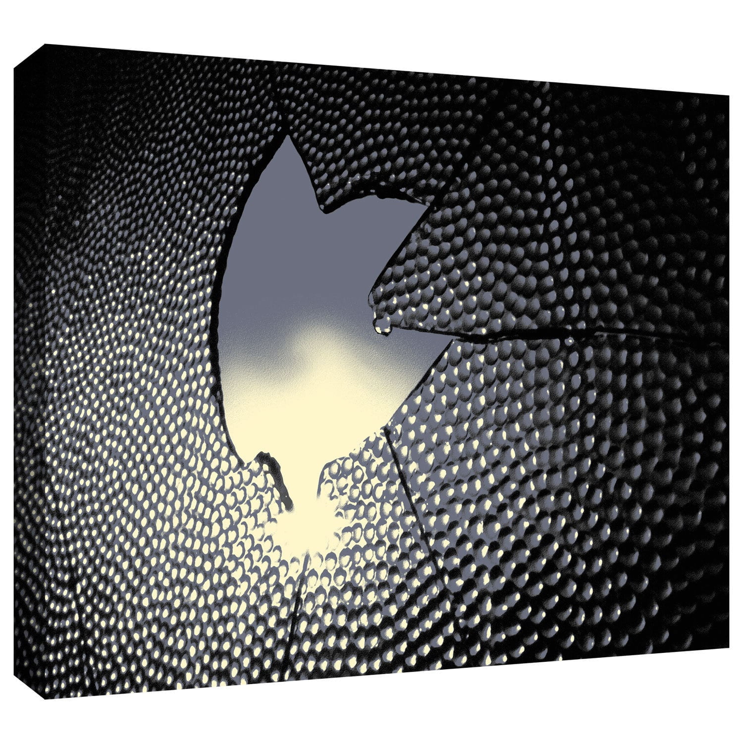Dean Uhlinger 'Broken Peace' Gallery-wrapped Canvas