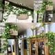 thumbnail image 4 of Apmemiss Fake Hanging Plants 2 Pcs Artificial Hanging Plants Fake Ivy Vine Faux Pothos Vines Artificial Ivy Leaves Greenery Plant for Room Patio Home Indoor Outdoor Shelf Wall Garden Decor(No Baskets), 4 of 9