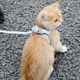thumbnail image 4 of Xinhuaya Mullti Cat Dog Harness And Leash Set - Suede Adjustable Comfort, 4 of 6