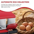 thumbnail image 4 of EDTara Metal Chicken Nesting Box Provides Sturdy Galvanized Steel Build and a Convenient Removable Roll-Out Tray, Ensuring Easy Egg Gathering and Cleaning for Backyard or Farm Poultry Setups, 4 of 8