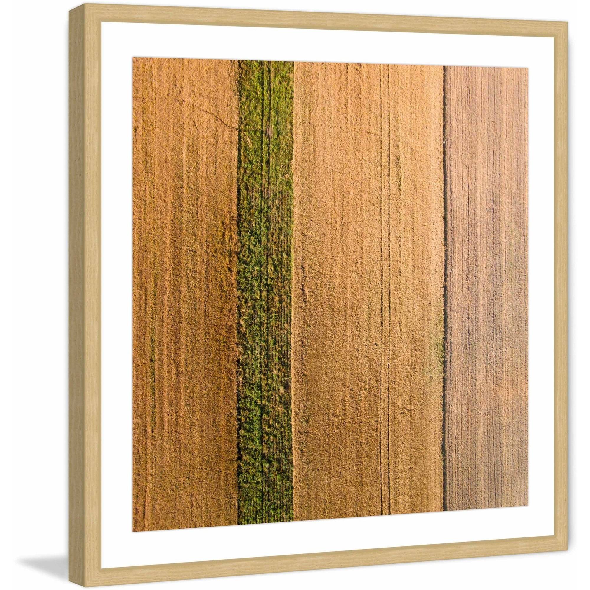 Marmont Hill "Seeded Land" by Karolis Janulis Framed Painting Print