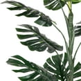 thumbnail image 3 of Northlight 50" Potted Green Artificial Monstera Plant, 3 of 6