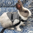 thumbnail image 2 of Arnés de disfraz ajustable de conejo, juego de arnés y correa para animales pequeños para animales pequeños, conejos, hámsteres, gatos, gris, L, 2 of 5