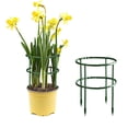thumbnail image 6 of Small Plant Support Plant Stakes Garden Flowers Green Plant Support Ring Planter Support Ring For Schlumbergera Clivia Vegetables, 6 of 7