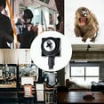 thumbnail image 3 of CNDST Mini Hidden Pinhole Security Camera, 3.6mm 90 Degree, 1000TVL, 1 Channel, 1 Count, 3 of 4