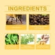 thumbnail image 5 of Essences skin care Bee Intestinal Navel Drops Gotas para el ombligo, Bee Navel Drops, Bee Drops, reafirmantes y moldeadores, 30 ml, 5 of 9