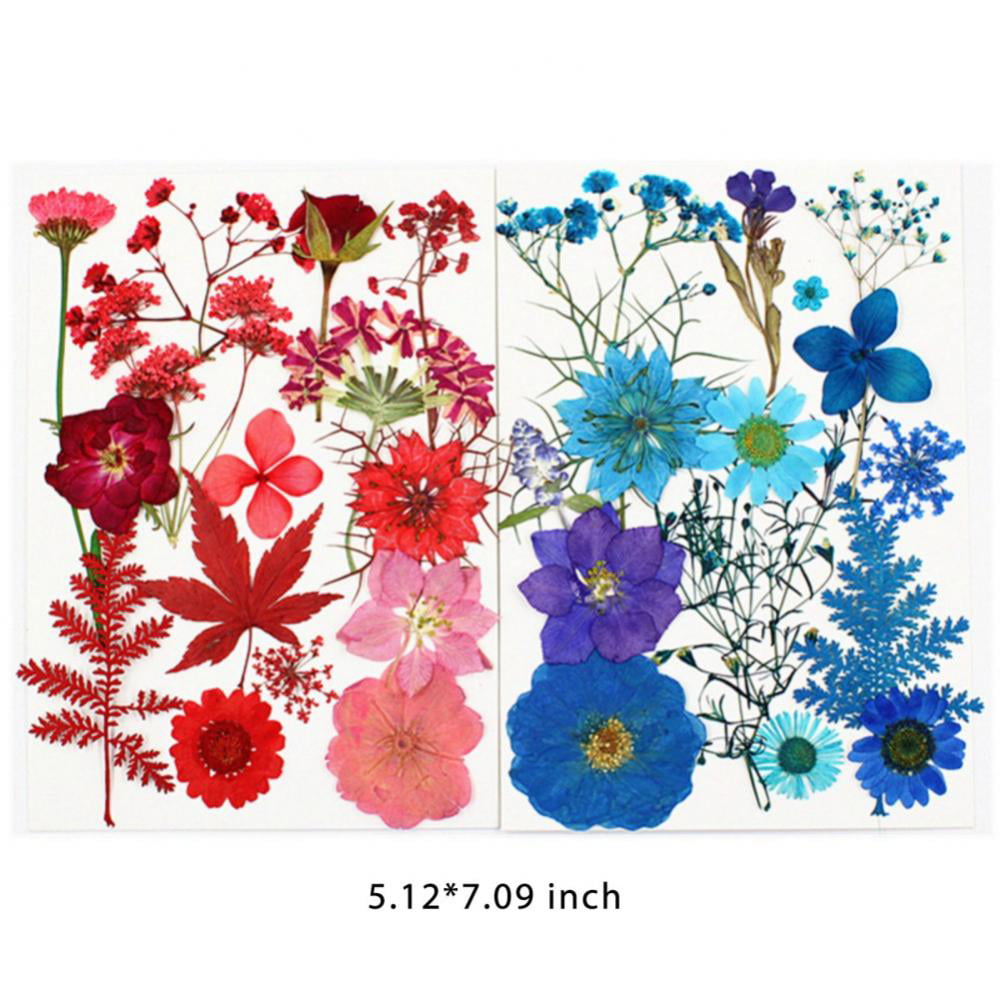 Baywell 15Pcs Dried Flowers for Resin Molds, Natural Dried Pressed Flower  Herbs kit for Scrapbooking Supplies Card Making Supplies Resin Jewelry Soap  