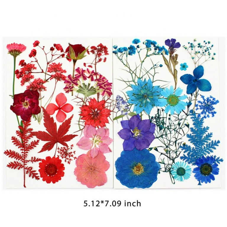 160pcs Dried Pressed Flowers for Resin, Real Pressed Flowers Dry