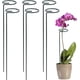 thumbnail image 1 of Soporte para 6 uds., 1 of 6