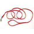 thumbnail image 1 of Coastal Pet Products CO04421 .75 in. Nylon Web Lead - Red, 1 of 2