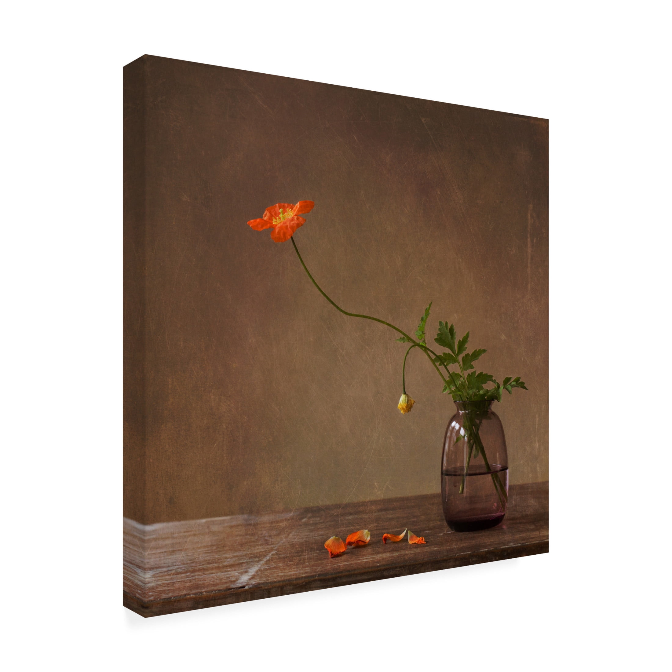 Canvas Wall Art - Galina Bunkova 'A Story With Orange Poppies' Wall Art for Living Room, Bedroom, or Office D?cor by Trademark Fine Art - 14 x 14 Inches